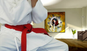 Foto vom Karate online Kurs